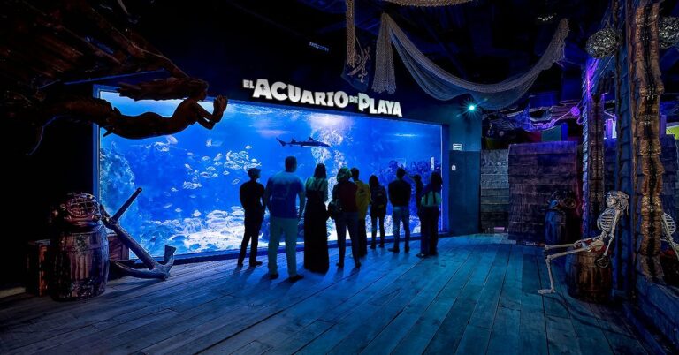 Playa del Carmen y sus atracciones turísticas: L’Aquarium Playa del Carmen
